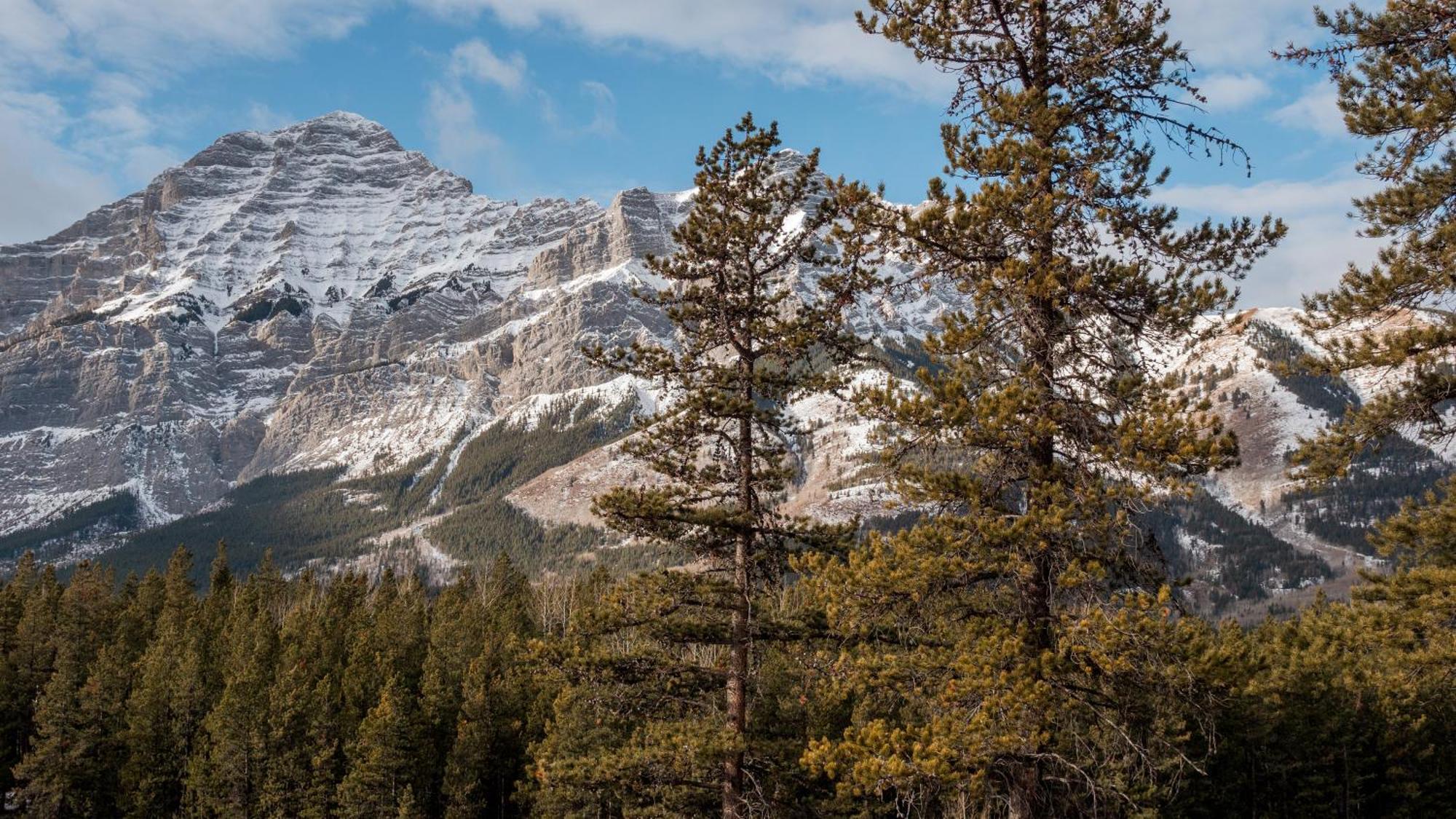 Skyridge Glamping Kananaskis